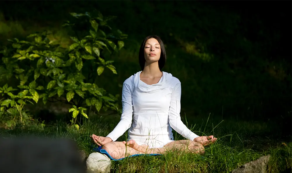 At Laicuherb, we believe tea should match your state.