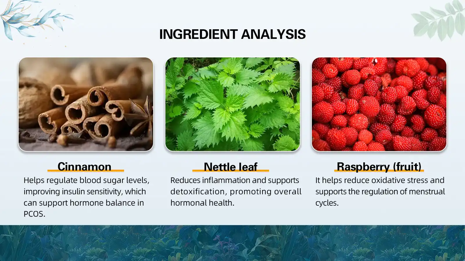  Active Ingredients