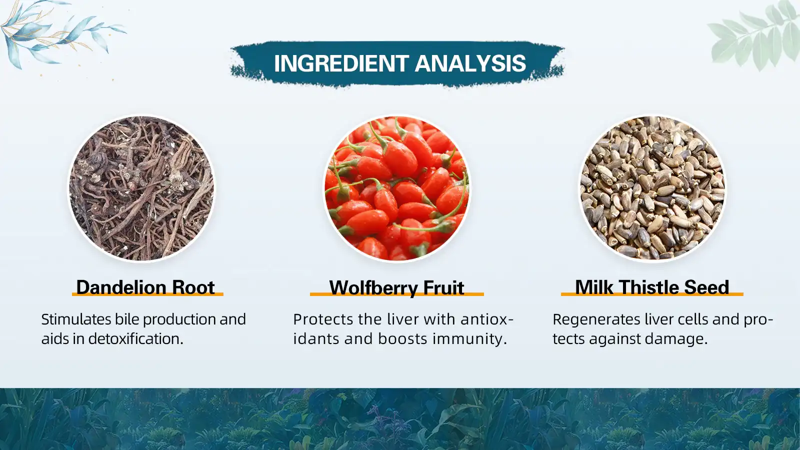 The Active Ingredients of Natural Liver Detox Tea The Active Ingredients of Natural Liver Detox Tea