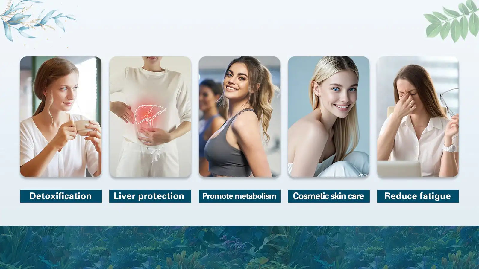 If you want to enhance liver detoxification, boost your body's metabolism and reduce fatigue, try Laicuherb's Natural Liver Detox Tea If you want to enhance liver detoxification, boost your body's metabolism and reduce fatigue, try Laicuherb's Natural Liver Detox Tea