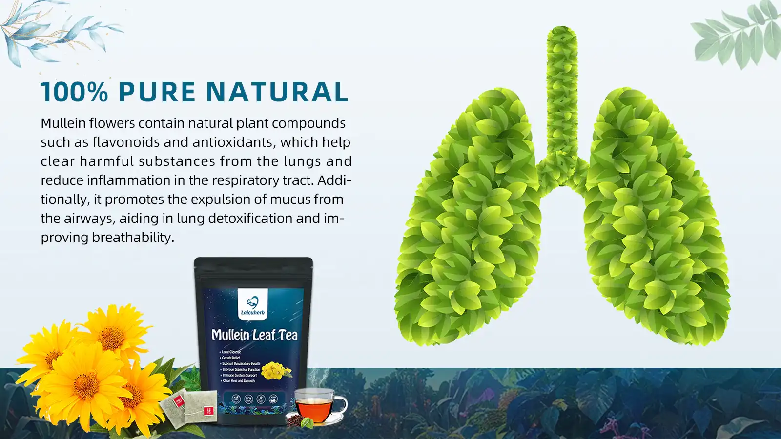 100% PURE NATURAL Mullein flowers contain natural plant compounds 100% PURE NATURAL Mullein flowers contain natural plant compounds