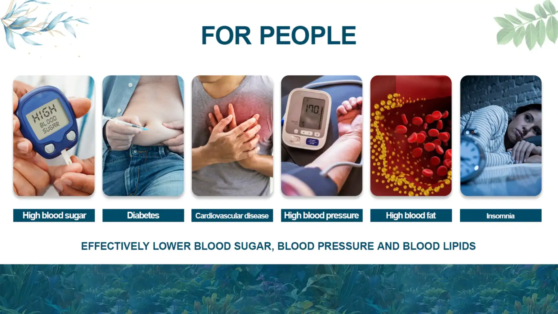 Application Areas Application Areas