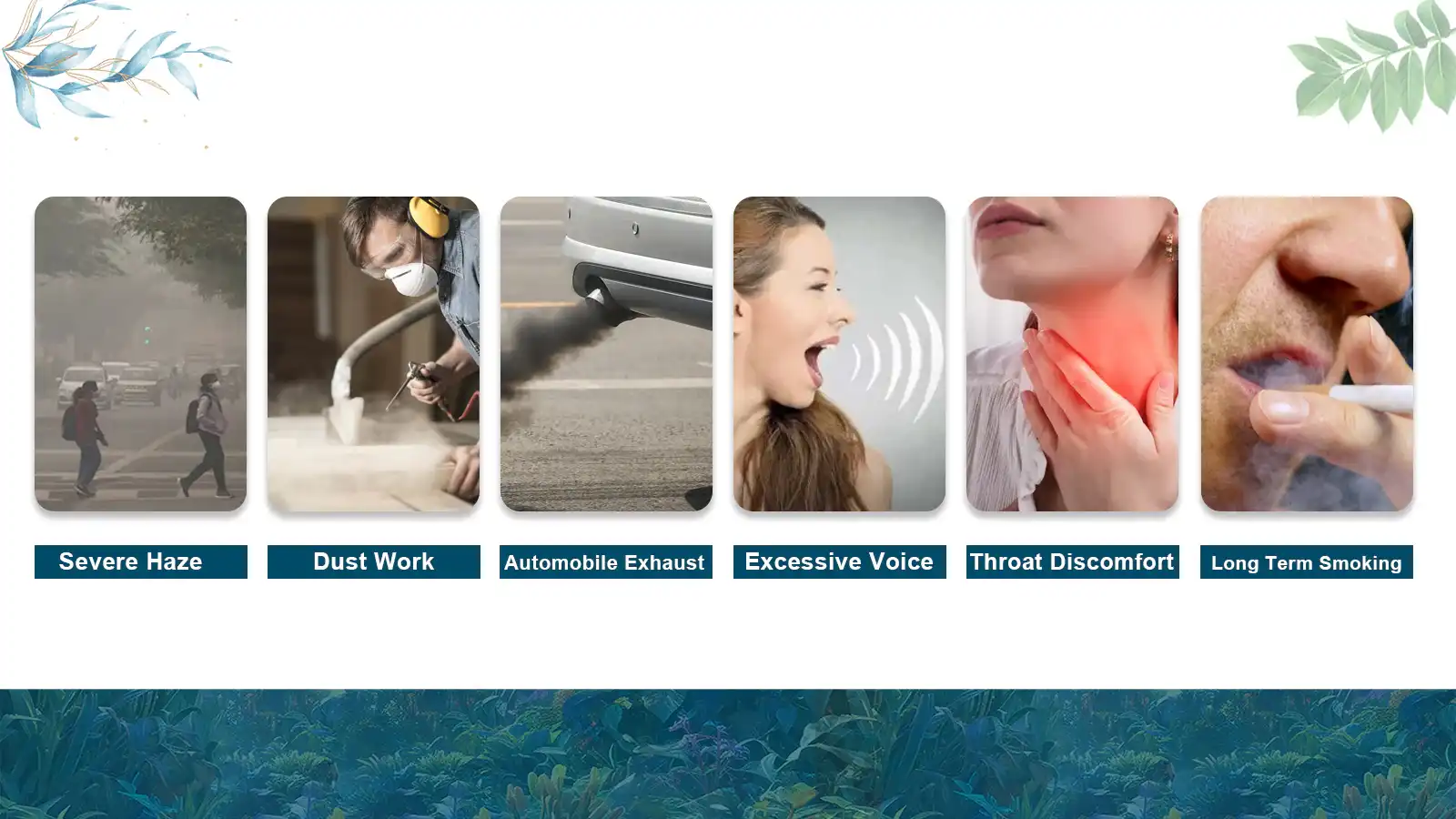 Application Areas Application Areas