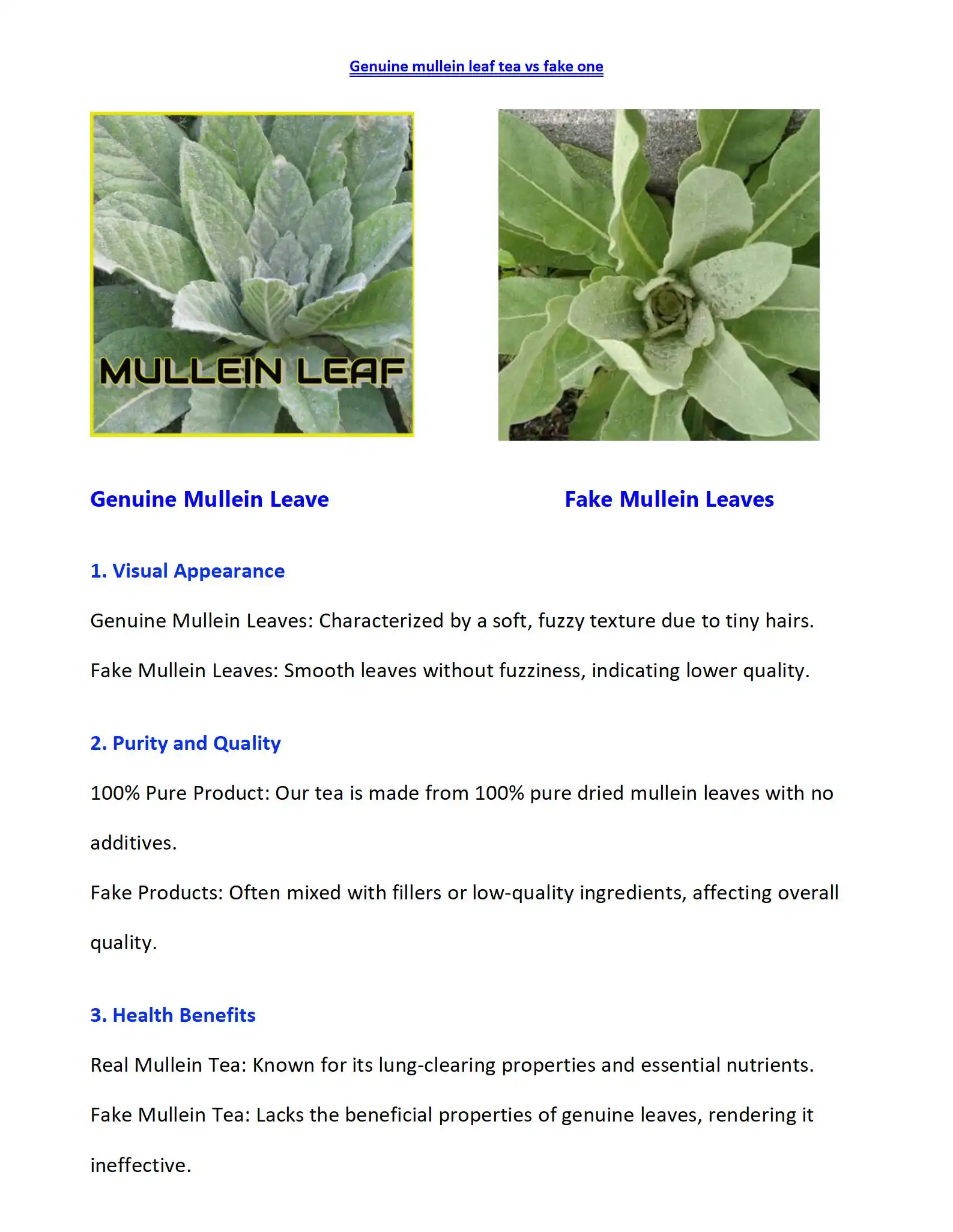 Mullein Tea- Comparison of Genuine and Fake Mullein Tea- Comparison of Genuine and Fake