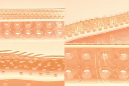 Enhance the elasticity of the buttocks' skin