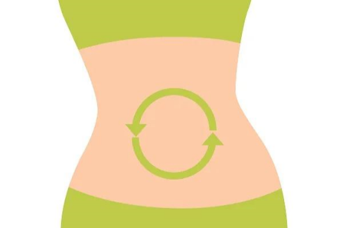 Promote the body's metabolism