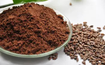Grape seed extract
