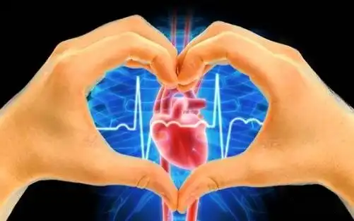 Ensure heart health by promoting blood circulation and reducing inflammation Ensure heart health by promoting blood circulation and reducing inflammation