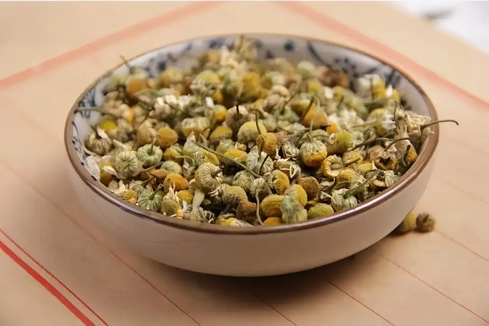 Chamomile Chamomile
