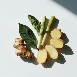 A Synergistic Blend of Herbs (Nettle Leaf, Lemongrass, Ginger, Radix Asparagi)