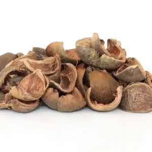 Pericarpium Citri Reticulatae Pericarpium Citri Reticulatae