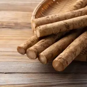 Root of Great Burdock