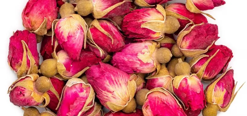 Pingyin Rose Pingyin Rose