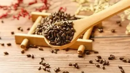 Cassia Seed Cassia Seed