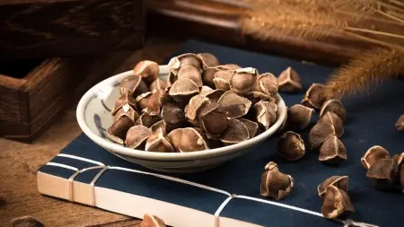 Moringa Seed Moringa Seed