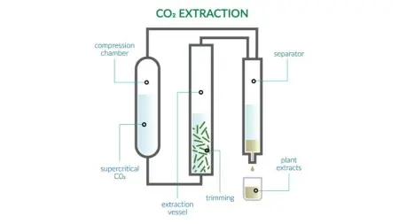 Supercritical CO2 Extraction Supercritical CO2 Extraction