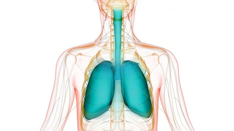 Natural Respiratory Wellness