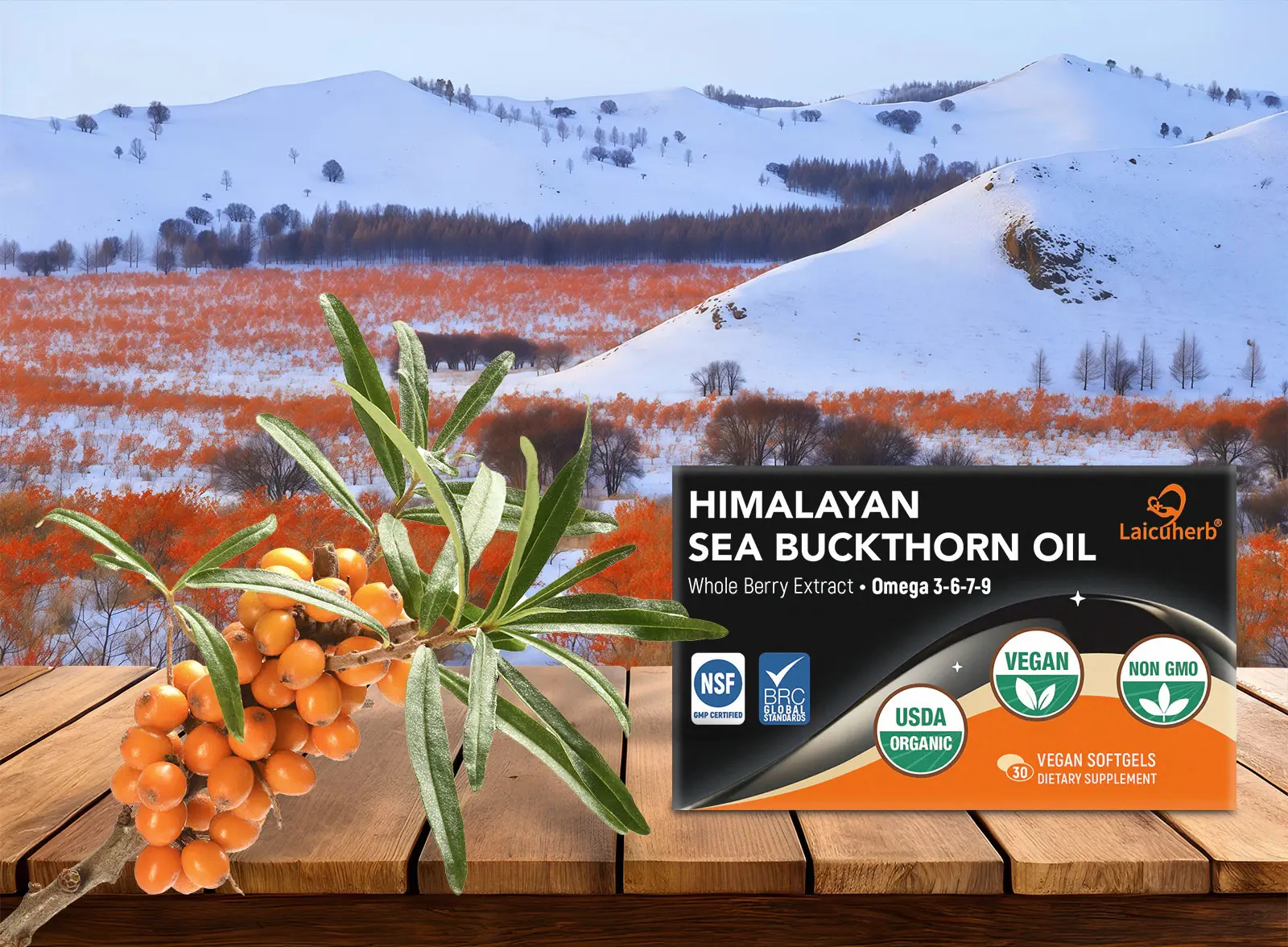 Himalayan Sea Buckthorn Oil is derived from wild sea buckthorn in the Himalayas