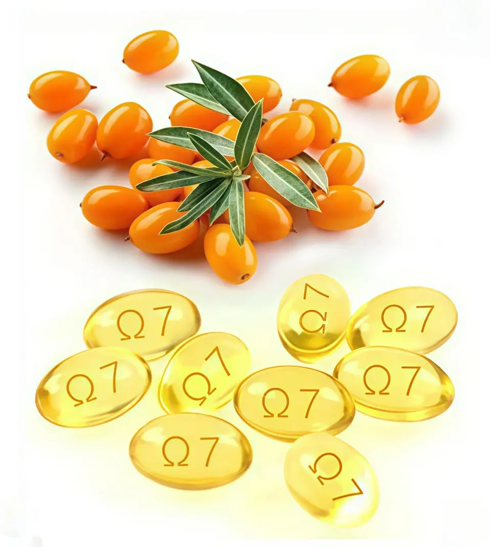 The main dietary source of Omega-7 is sea buckthorn oil The main dietary source of Omega-7 is sea buckthorn oil