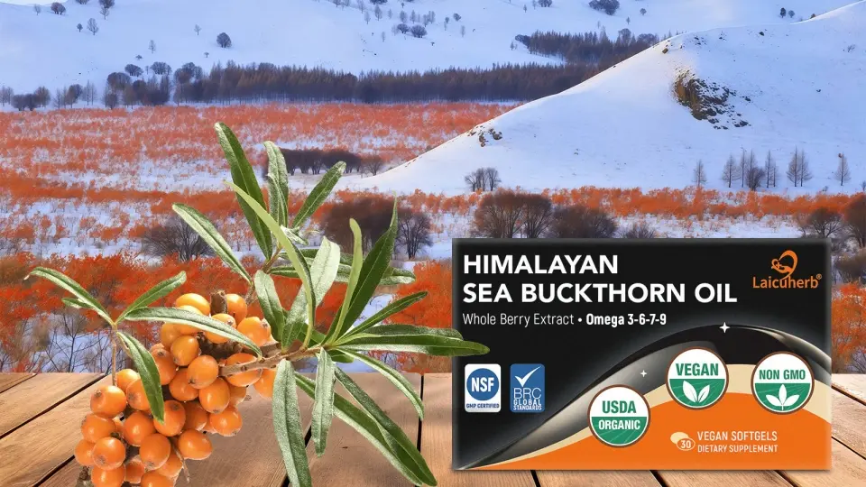 Laicuherb Sea Buckthorn Oil Laicuherb Sea Buckthorn Oil