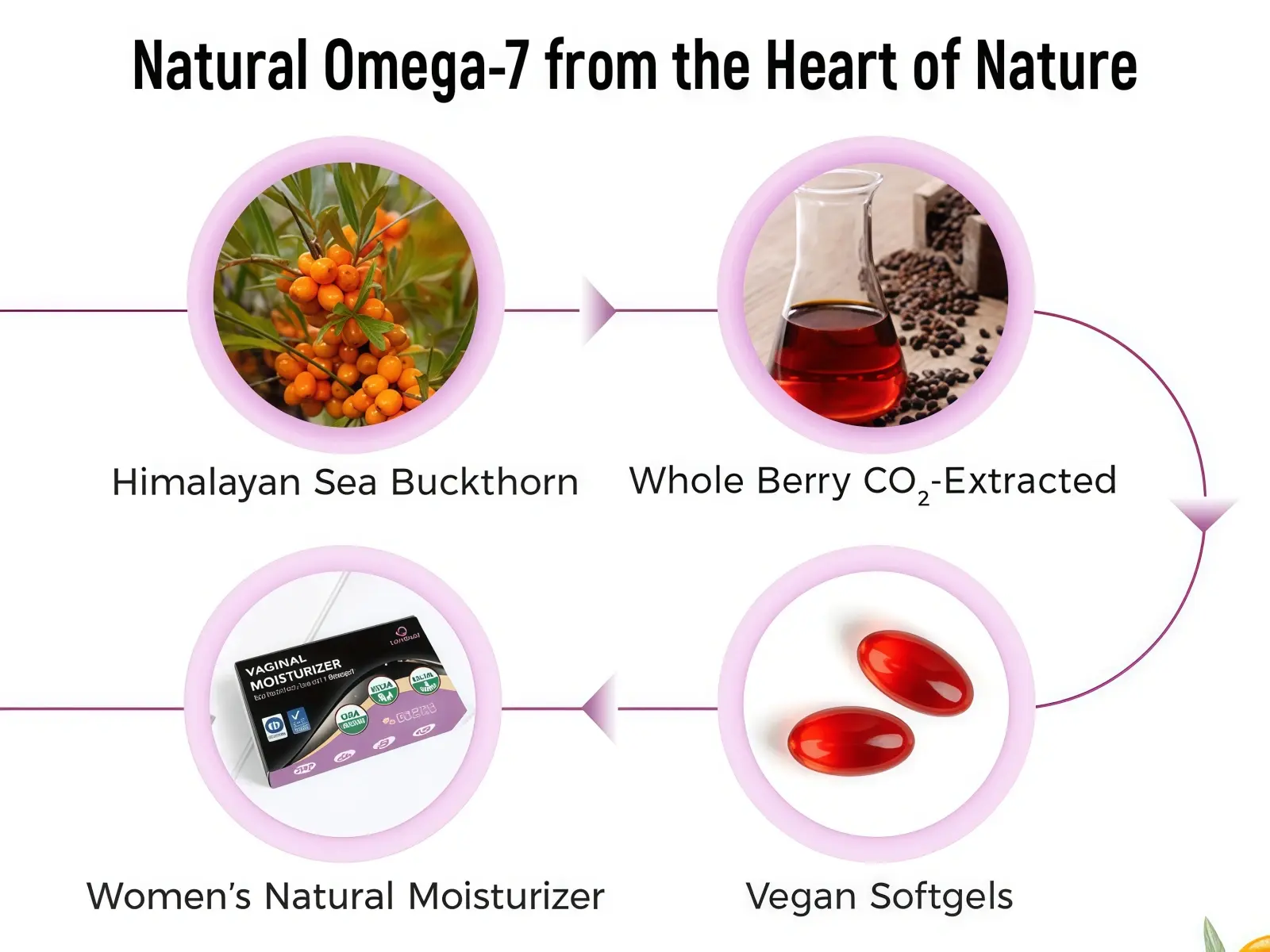 Sea Buckthorn Oil Softgels (Feminine Moisture Support) Natural Omega-7 from the Heart of Nature Sea Buckthorn Oil Softgels (Feminine Moisture Support) Natural Omega-7 from the Heart of Nature