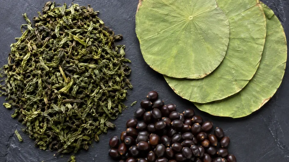 Pristine raw botanicals of dry green tea, structured lotus leaves, and cassia seeds neatly arranged